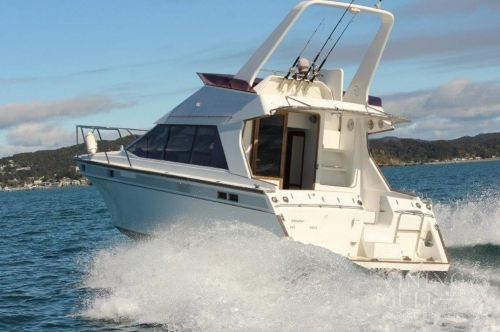 1996 Pelin Apollo