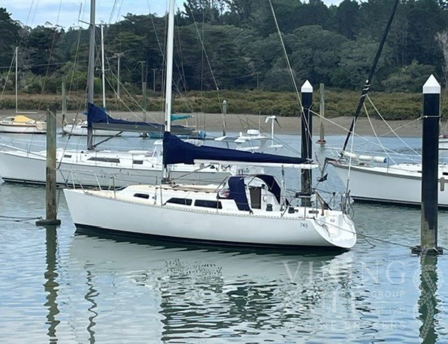 1989 Beale 33