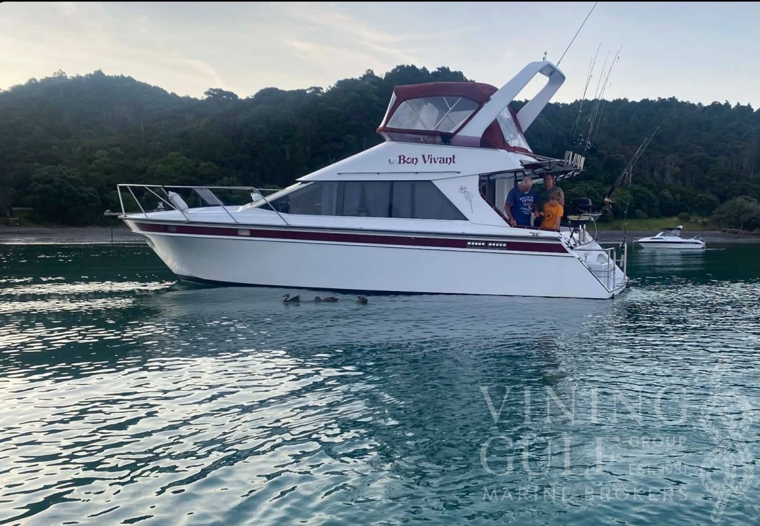 1996 Pelin Apollo