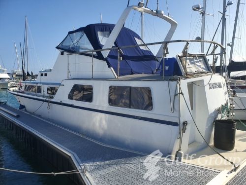 1984 Blue Horizon