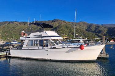 Tasman Ranger