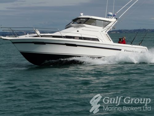 1995 Reflections 1100