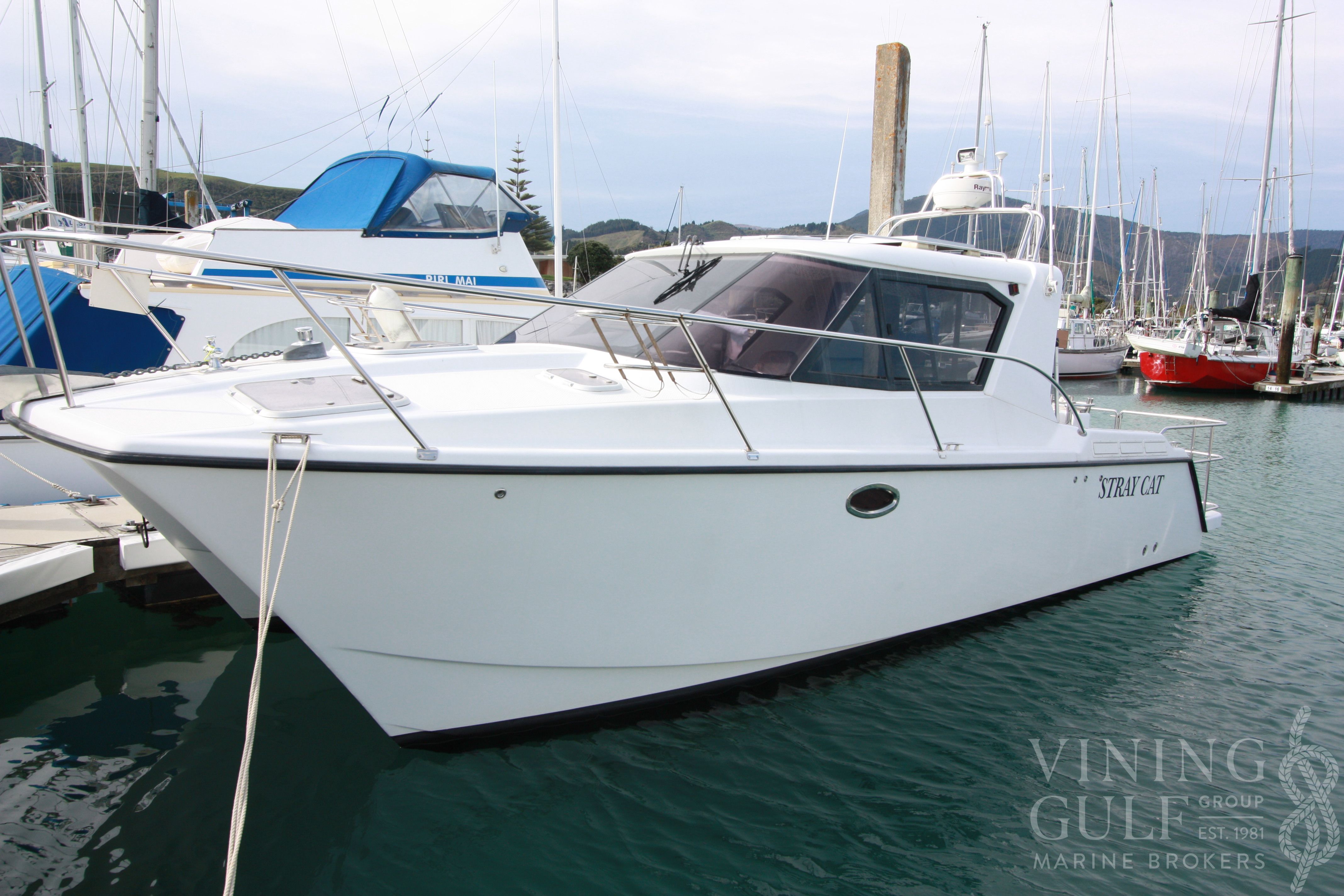 2006 Roger Hill Black Cat